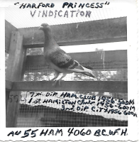 Harford Princess